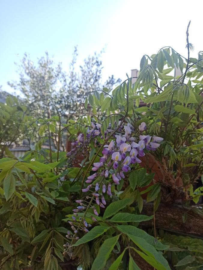 קזארצה ליגורה Il Glicine Cozy Appartamnent, Near Sestri Levante Between Cinque Terre E Portofino מראה חיצוני תמונה