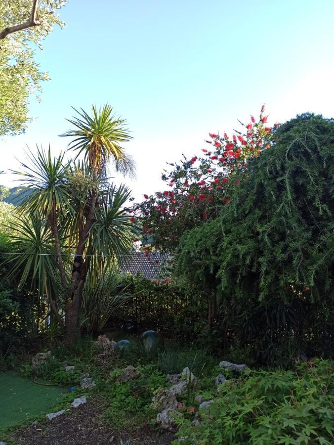 קזארצה ליגורה Il Glicine Cozy Appartamnent, Near Sestri Levante Between Cinque Terre E Portofino מראה חיצוני תמונה