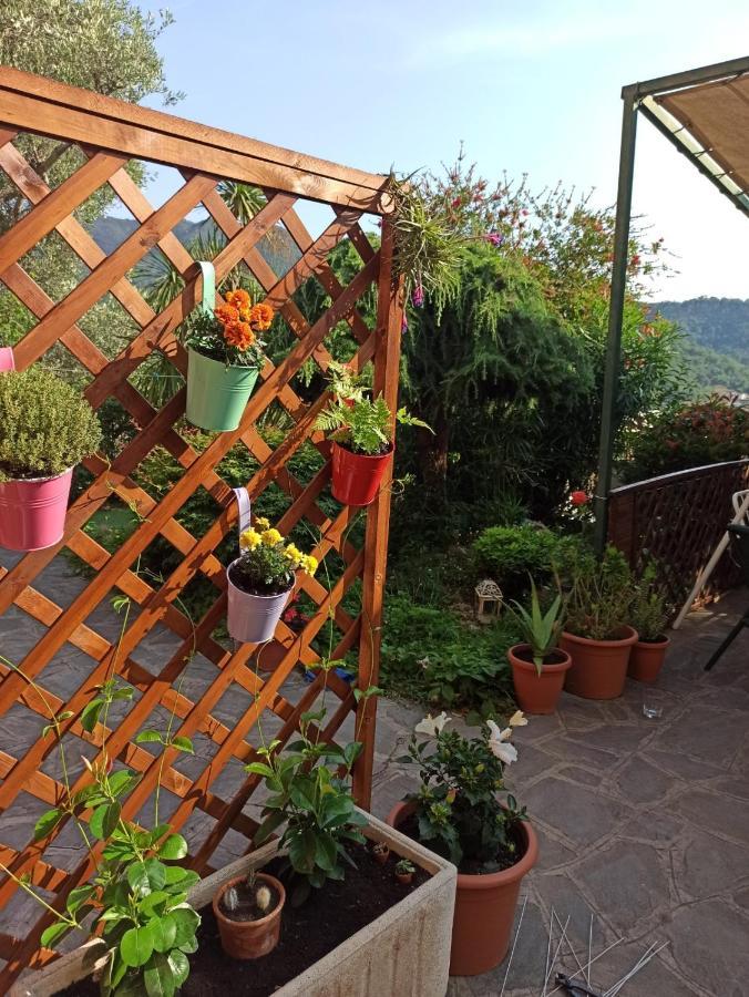 קזארצה ליגורה Il Glicine Cozy Appartamnent, Near Sestri Levante Between Cinque Terre E Portofino מראה חיצוני תמונה