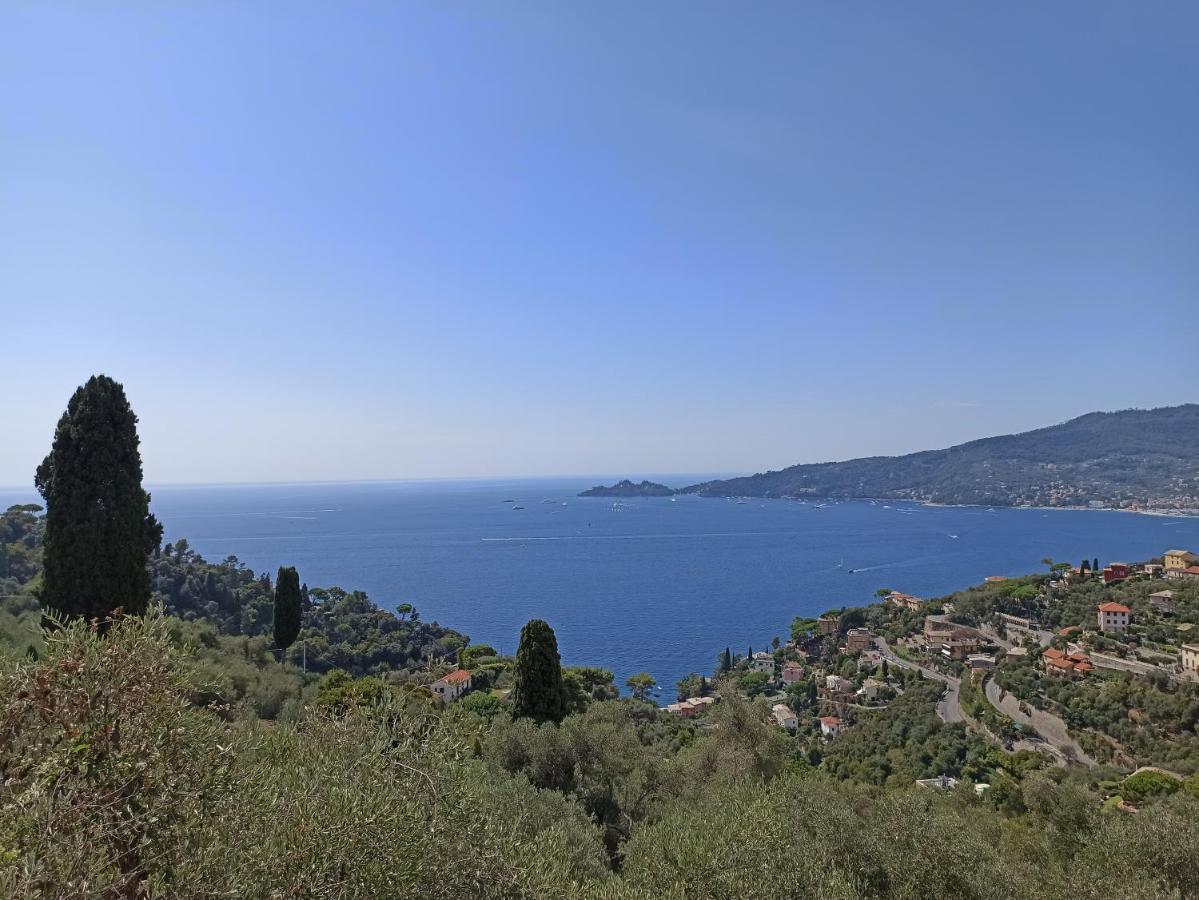 קזארצה ליגורה Il Glicine Cozy Appartamnent, Near Sestri Levante Between Cinque Terre E Portofino מראה חיצוני תמונה